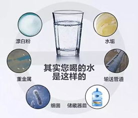 茂名市農村地區水質檢測指南 守護飲水安全，了解專業檢測單位